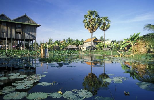 a Farmer village outside of the city of phnom penh in cambodia in southeastasia.