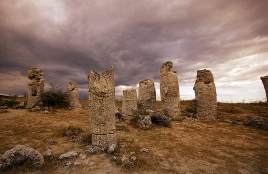 the stone forest near the city of Varna on the Blacksea in Bulgaria in east Europe.