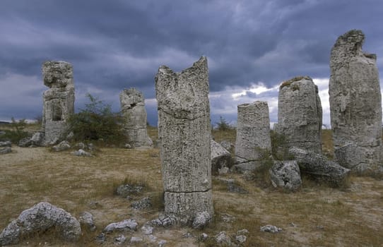 the stone forest near the city of Varna on the Blacksea in Bulgaria in east Europe.