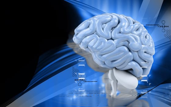 Digital illustration of brain in colour background