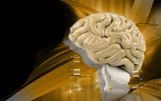Digital illustration of brain in colour background