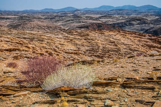 The drie, rocky and inhospitable landscape of the Namib Nauklauft National Park in Namibia with very little vegitation, mostly succulents.