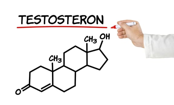 Chemical Structural Formula of Testosterone