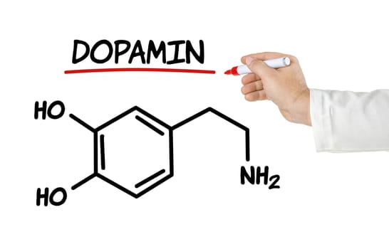 Chemical structural formula of dopamine