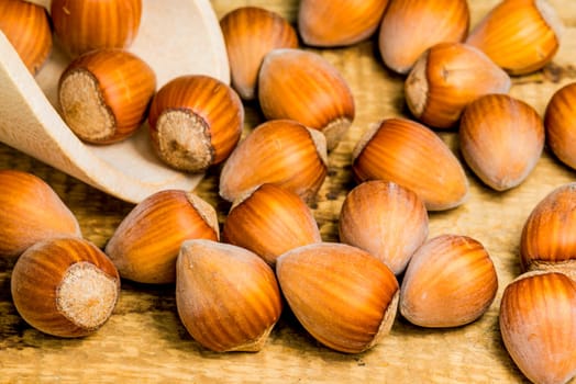 Hazelnuts