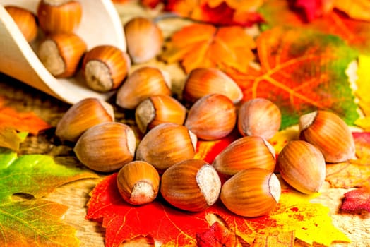 Hazelnuts