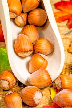 Hazelnuts