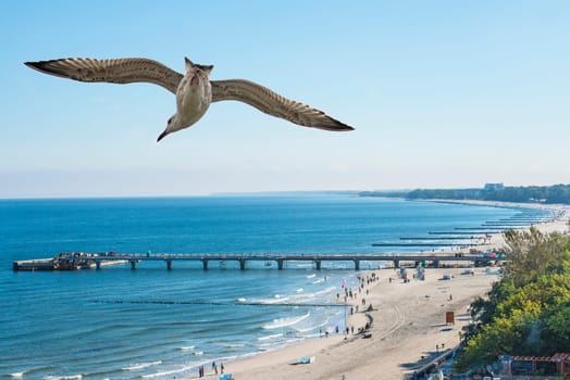 Kohlberg Beach,Poland