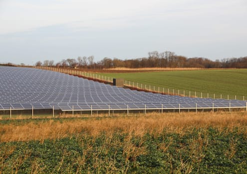 Sun Solar Outdoor Industrial Plant Large Scale in Perspective