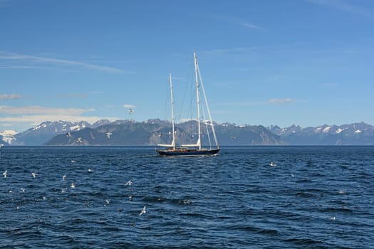 Luxury Yacht Heading out to Sea in Resurrection Bay in Alaska