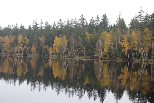 Trees on the bank of lake in the autumn - Kladska peats -Glatzener Moor -  is a national nature reserve in Slavkov Woods - protected landscape area. Slavkov Forest - Kaiserwald  is geomorphological unit in the northern part of the Carlsbad Highlands. Kladska, Czech republic.