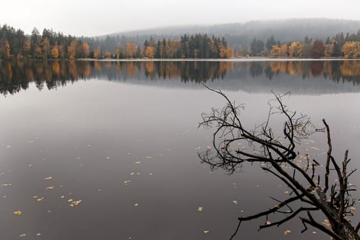 Autumn forest on the shores of lake. Kladska peats - national nature reserve in Slavkov Woods - protected landscape area. Slavkov Forest - Kaiserwald  is geomorphological unit in the northern part of the Carlsbad Highlands. Kladska, Czech republic.
