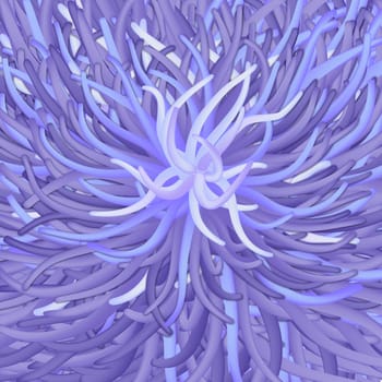 Illustration of the sea anemone - seaflower