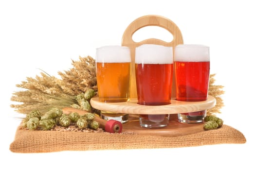 Beer carriers and beer glasses with wheat,barley,hops and malt