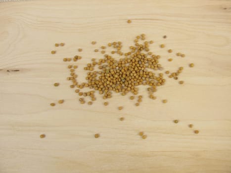 Yellow mustard seed
