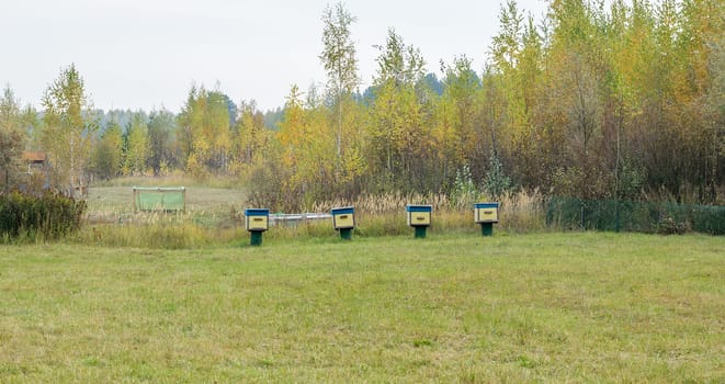 Bee hives are in a clearing in the woods.