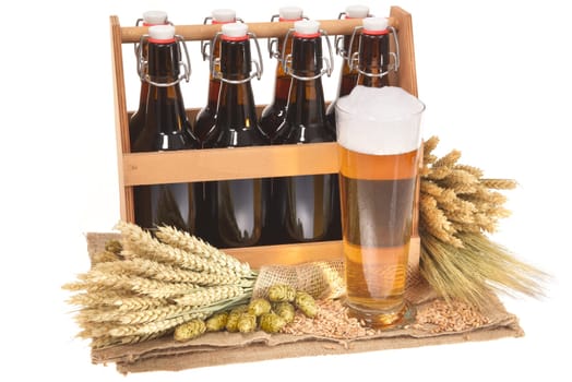 Beer carriers and beer glass with wheat,barley,hops and malt Insulated On White