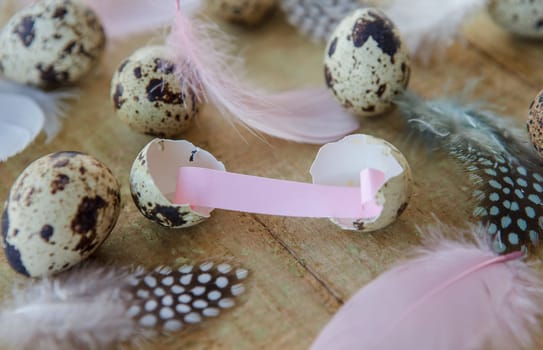 Quail eggs and colorful feathers at Easter on rustic background