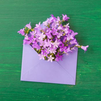 Purple envelope with fresh bellflowers on green background made of wood