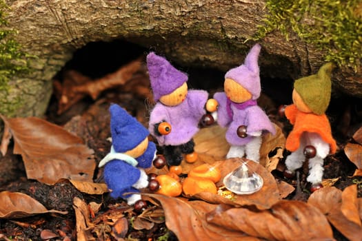 Four little gnomes find a treasure