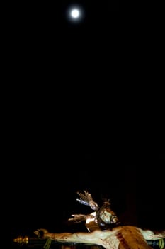 Holy Week Christ float with moon, Spain