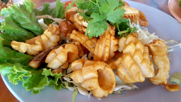 fired Sun dried squid sea food thailand