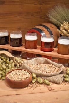 Beer carriers with many different beers,wheat,barley,hops and malt