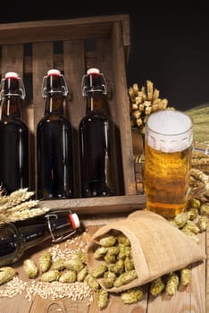 Beer box and beer glass with wheat,barley,hops and malt