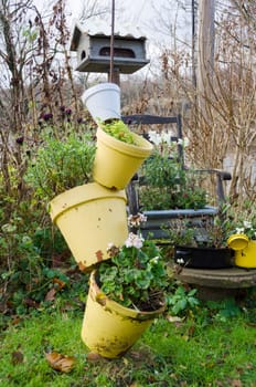 one arrangement with garden pots and flowers in the garden and it s autumn