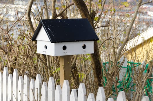 one little birdhouse made of wood standing in the garden for the birds