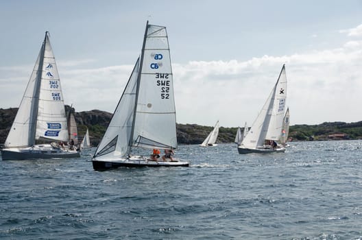 one sail competition on swedish westcoast little action on the sea