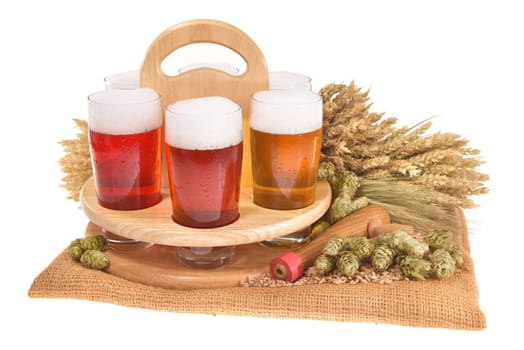 Beer carriers and beer glasses with wheat,barley,hops and malt