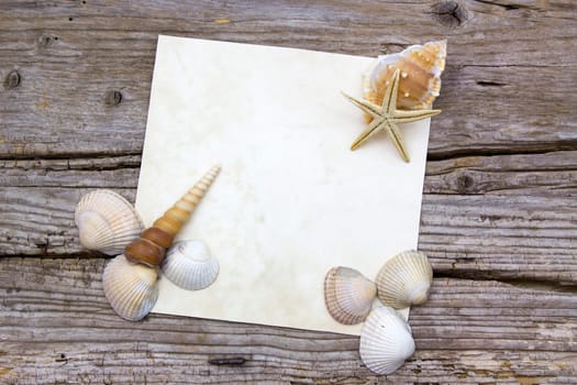 blank paper on wooden background with seashells