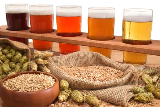 Beer carriers with many different beers,wheat,barley,hops and malt