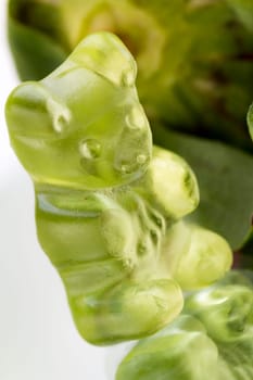 Rubber bears in fruit