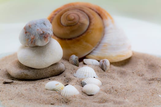 Shells