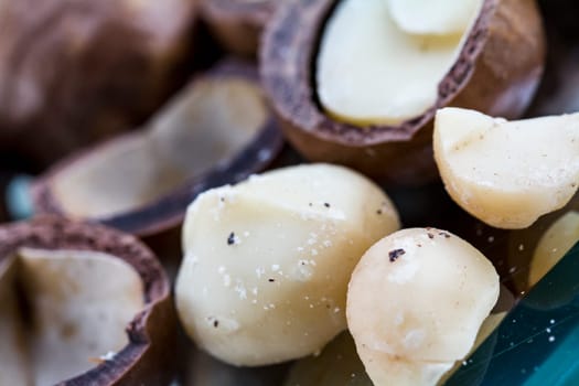Macadamia