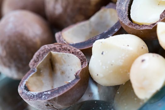 Macadamia