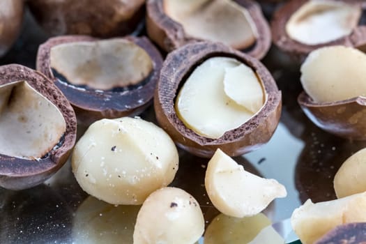 Macadamia