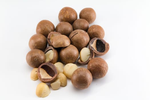 Macadamia