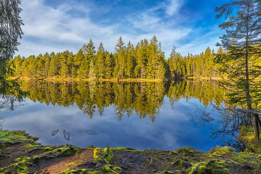 Etang de la Gruére high bog