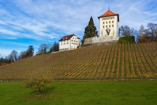 Heidegg Castle with Vineyard