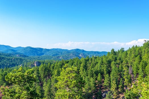 Black Hills National Forest in South Dakota