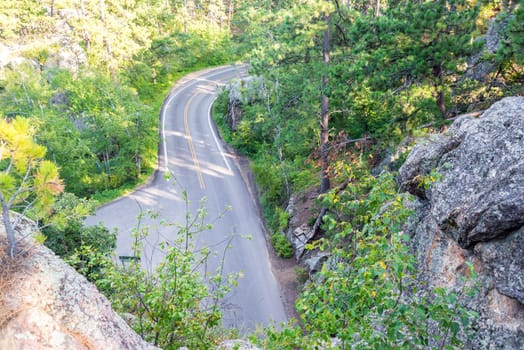 Looking down a road passing through Custer State Park in South Dakota