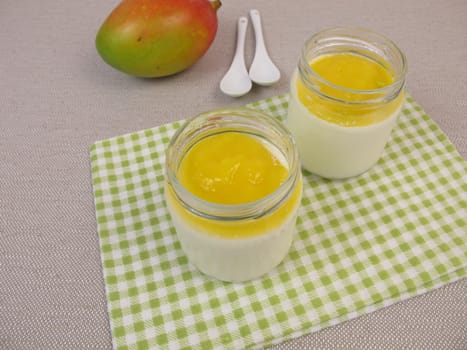 Yoghurt from the yoghurt maker with mango