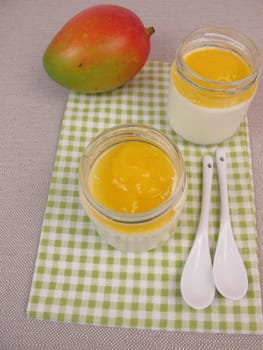 Yoghurt from the yoghurt maker with mango