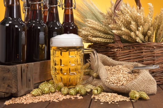 Beer box and beer glass with wheat,barley,hops and malt