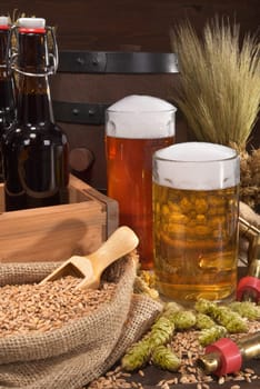 Beer carriers with various beers,wheat,barley,hops and malt