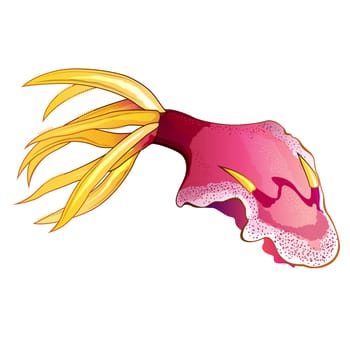 Pink squid vector illustration on a white background