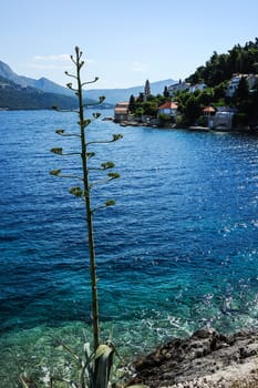 Arrival on Korcula